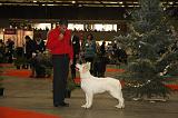 EXPO - BERGER BLANC SUISSE 070